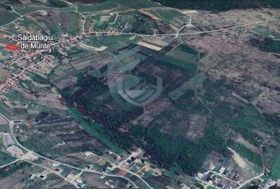 Teren intravilan Saldabagiu de Munte 1100m - 8
