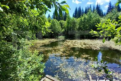 Casă cu 8 camere cu Teren 6060 Mp în Poiana Stampei - 13