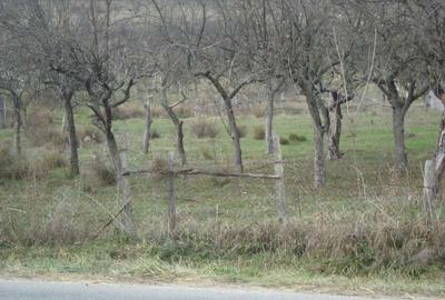 Teren de 10400 mp, în Central - 10