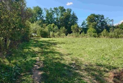 Teren intravilan pentru casa sau vacanta, Lunca, Baia de Cris - 4
