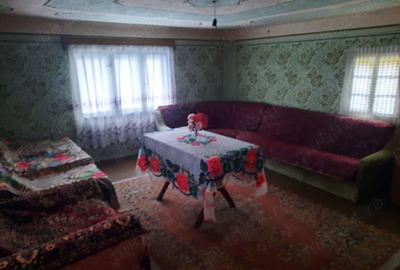 Vand casa (2 corpuri+ ograda) + 2 terenuri in Visca, Jud. Hunedoara - 8