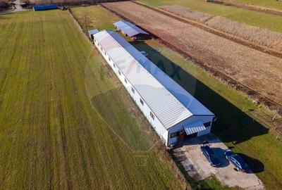 Spațiu industrial, de 650 mp, în Ribița - 2