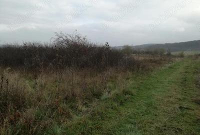 Teren în Central - 7