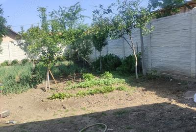 Casă cu 3 camere în Central