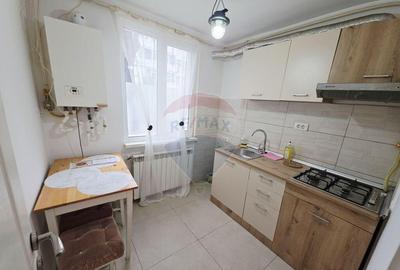 Apartament cu 1 camere de vanzare in zona Maratei - 8