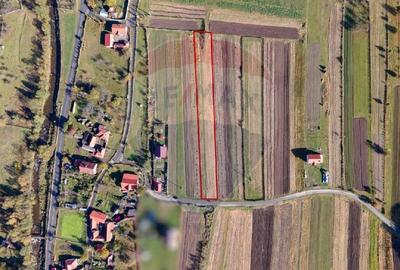 Teren extravilan Petros /  Baru ,jud Hunedoara - 3