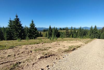 Spațiu comercial, în Piatra - 5