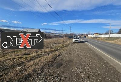 Teren Turturesti la strada principala - 2