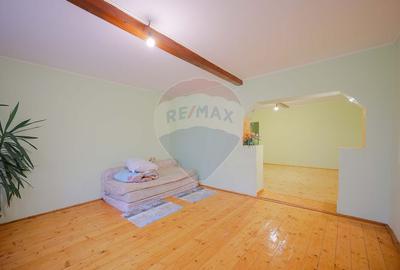 Casa cu teren de 3474 mp in Sannicolau Roman