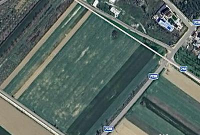 Teren de 4000 mp, în Leordeni - 3