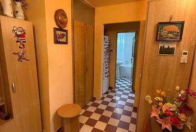 Apartament cu 2 camere decomandat în Girocului - 10