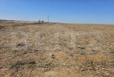 Teren intravilan, 3789 mp parcelabil, zona Isalnita - 2