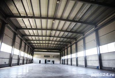 Se vinde hala metalica 2200 mp .100eur mp - 1