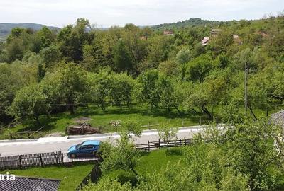 Teren de 1070 mp, în Berevoești - 1