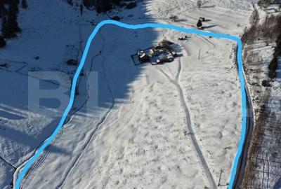 Teren de 36000 mp, în Bosanci - 9
