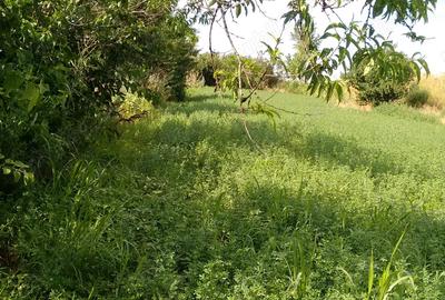 Casa de vanzare - sat. Vasile Alecsandri, jud. Galati - 5