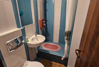 Apartament 3 camere Piata Alba Iulia | Burebista - 12