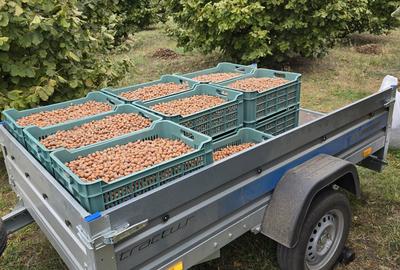 Teren de 10000 mp, în Dorobanți - 6