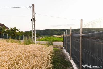 Teren de 1000 mp, în Lăzăreni - 11