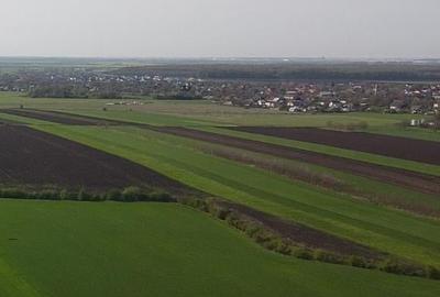 Teren Construcții intravilan de 5000 mp, în Moara Vlăsiei