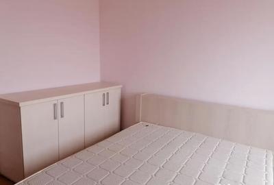 Apartament cu 2 camere decomandat în Gorjului - 5