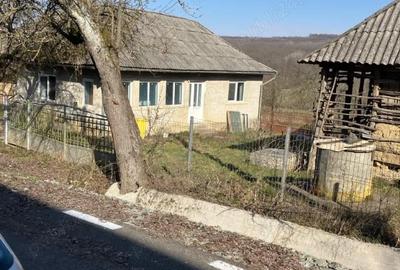 Casă cu Teren 19 Mp în Tămășești - 2