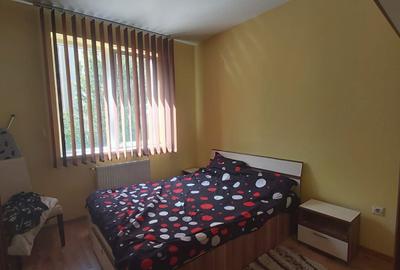 Apartament cu 2 camere semidecomandat în Lotrioara - 5