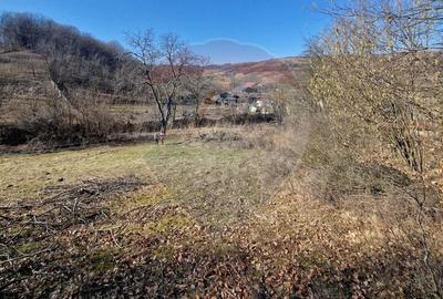 Teren Construcții intravilan de 4985 mp, în Sascut - 8