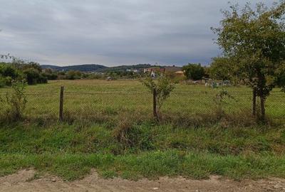 Teren intravilan 8000 mp , DR.D.Vechi - 18