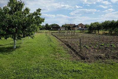 Casă cu 3 camere cu Teren 1355 Mp în Mihai Bravu - 7