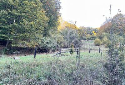 Teren de 2482 mp, în Ciupercenii Noi - 1
