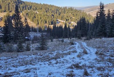 Teren extravilan de vanzare inconjurat de padure in Bucovina zona Breaza - 1