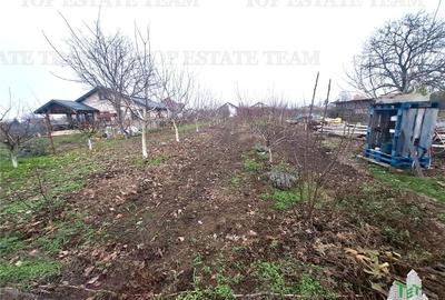 Teren Intravilan Moara Vlasiei 963 mp, Zona Superba, - 3