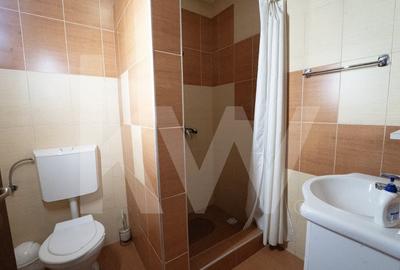 De vanzare – Imobil cu potential turistic si rezidential in Ocna Sibiului - 18