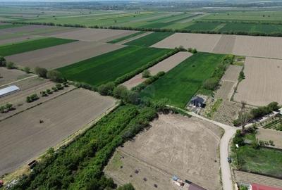 Teren Construcții intravilan de 1660 mp, în Rădulești - 10