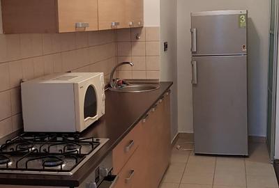 Apartament cu 2 camere decomandat, mobilat în Muncii - 7