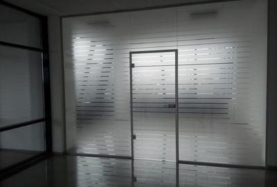 Th.Pallady - A2 suprafete  360 mp - 7