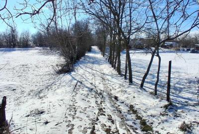 Spațiu comercial, în Central - 6