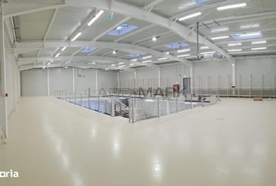 Spațiu comercial, de 890 mp, în Giroc - 4