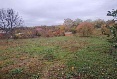 Teren parcelabil, in zona curata si linistita, la 10 minute de Ploiesti - 2