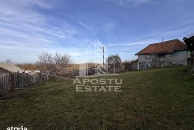 Casă cu 4 camere cu Teren 2231 Mp în Cerbăl - 8