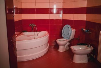 Pensiune sau casa locuit 4 camere Gureni,Gorj,Valea Bistri?ei Gorjene - 10