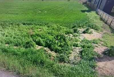 Teren de 5000 mp, în Palas - 2