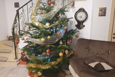 Casă cu 3 camere în Tunari - 6