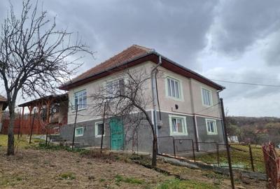 Casa individuala, 187 mp utili, teren 1242 mp, sat Gheorgheni - 3