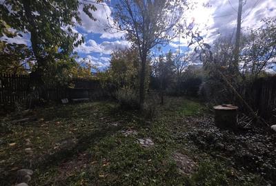 Casă cu 3 camere cu Canalizare în Viforâta - 9