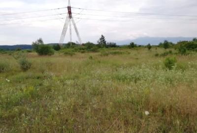 Teren extravilan 1600mp spre vanzare in Vestem - 5