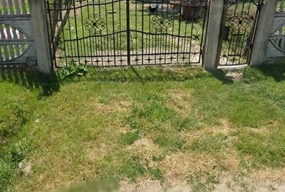 Casa batraneasca si teren - 6