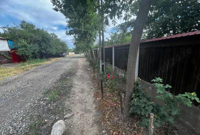 Casă cu 4 camere cu Teren 1490 Mp în Jilavele - 6