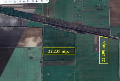 Teren agricol extravilan de 22200 mp, în Grădiștea - 4